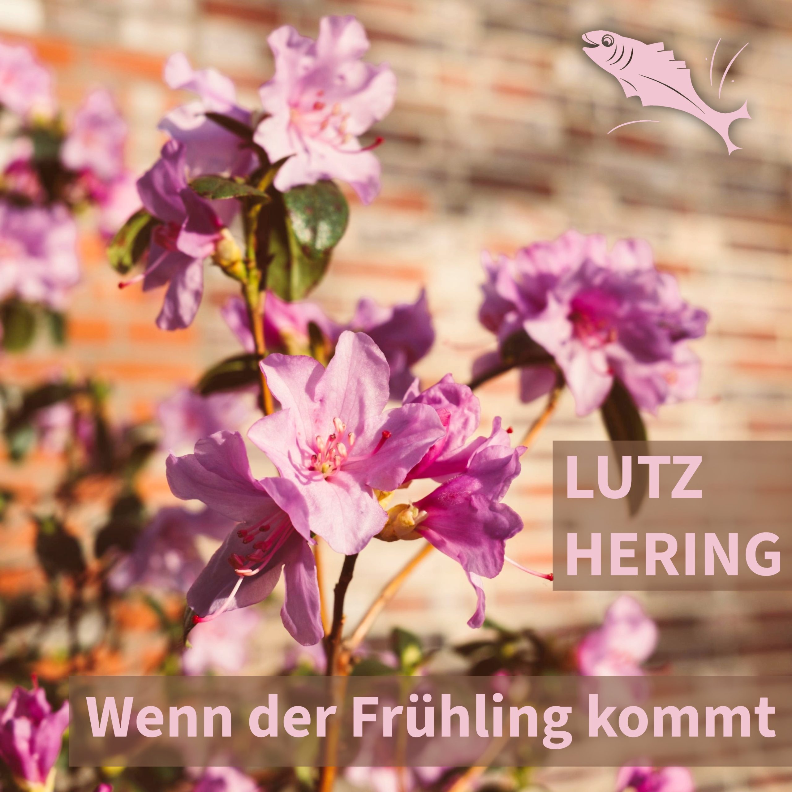 Cover: Wenn Der Frühling Kommt